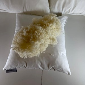 Michell Mycraloft Wool Cushion Pad
